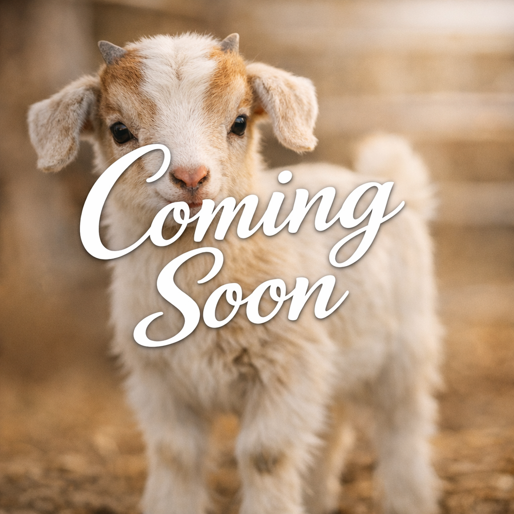 Small Animal Product Coming Soon