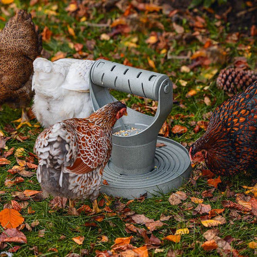 Backyard Chicken Feed Tower - Promotes Exercise and Mental Stimulation