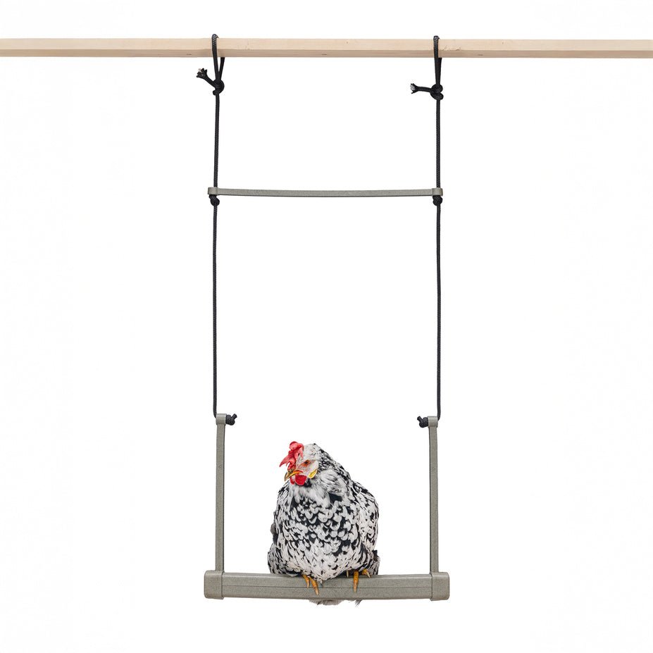 Backyard Chicken Swing - Durable - Enrichment for Active Backyard Floc