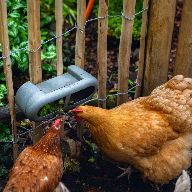 Chicken Feeder with Velcro Attachments - 100% Recycled - Low-Waste Fee