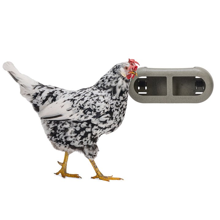 Chicken Feeder with Velcro Attachments - 100% Recycled - Low-Waste Fee