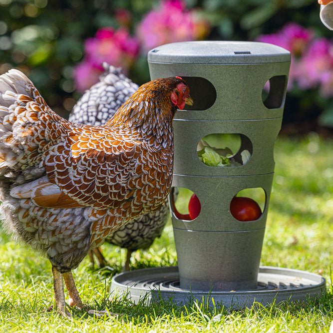 Feed Tower for Chickens - Eco-Friendly - Low-Waste Feeding for Backyar