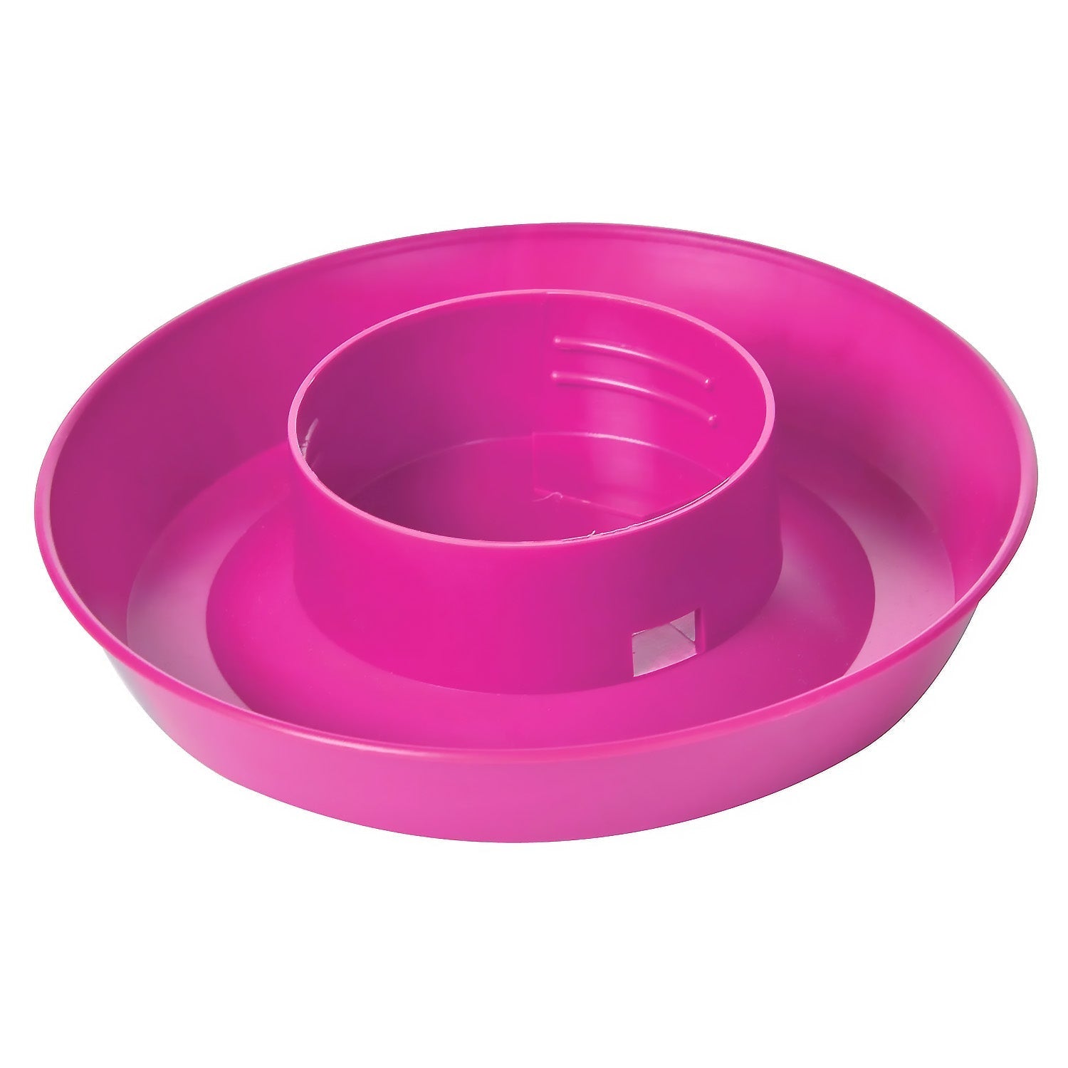 Little Giant 1 Quart Chicken Feeder & Waterer - Plastic Screw-On Jar &