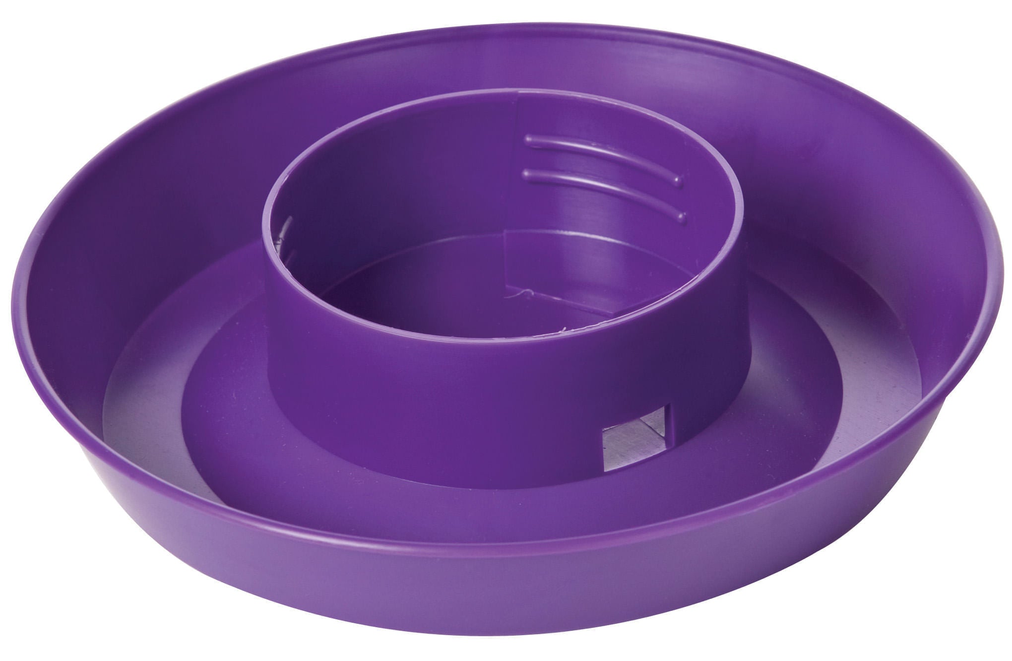 Little Giant 1 Quart Chicken Feeder & Waterer - Plastic Screw-On Jar &